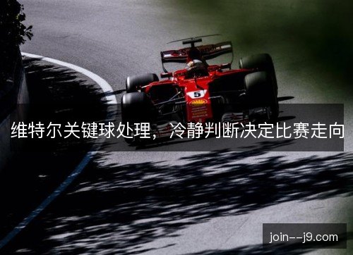 维特尔关键球处理，冷静判断决定比赛走向